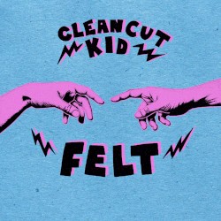 Felt