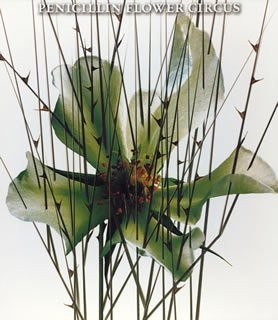 FLOWER CIRCUS