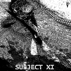 Subject XI