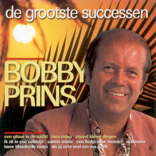 De grootste successen van