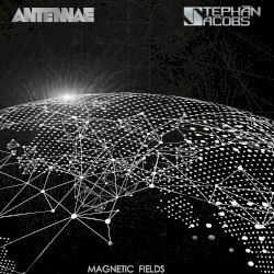 Magnetic Fields