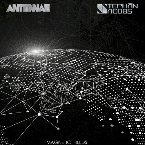 Magnetic Fields