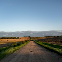 Terra Firma