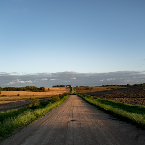 Terra Firma