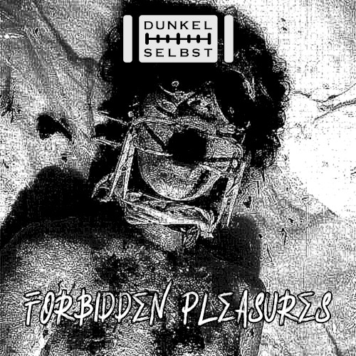 Forbidden Pleasures