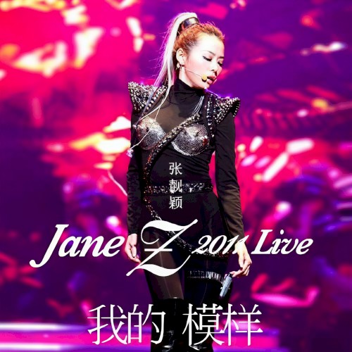 张靓颖 我的模样演唱会 (Live)