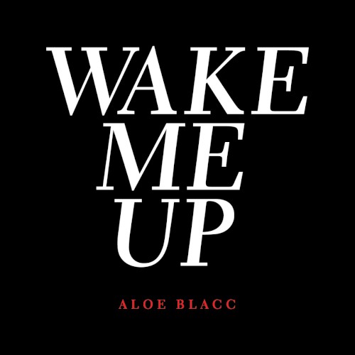 Wake Me Up
