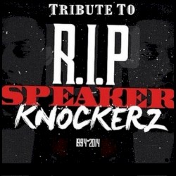 Tribute To Speaker Knockerz