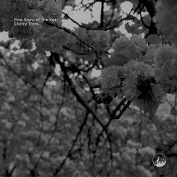 Cherry Trees