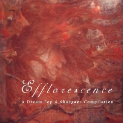 Efflorescence