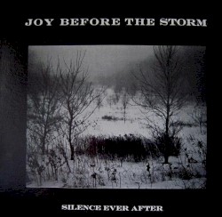 Silence Ever After