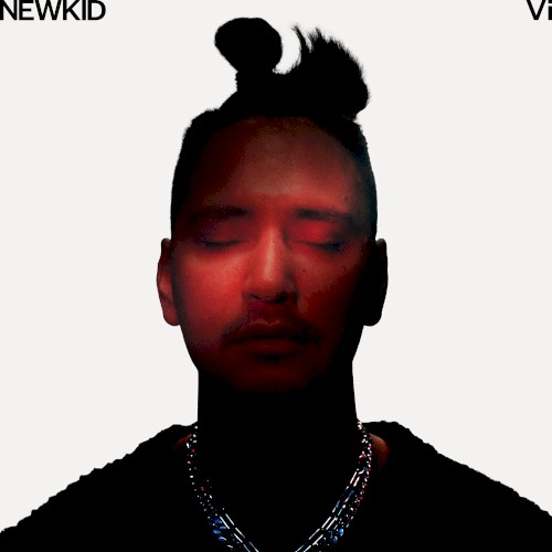 Vi