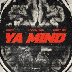 Ya Mind