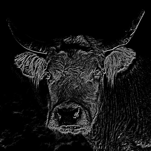 SONGS IN THE KEY OF MEAT