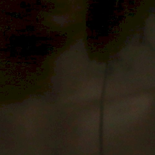 ZENXIETY