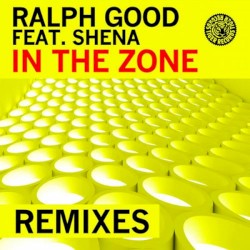 In The Zone (Remixes)