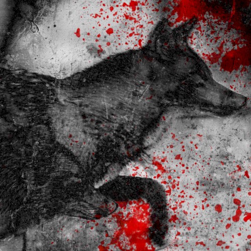 All We Are Is Blood