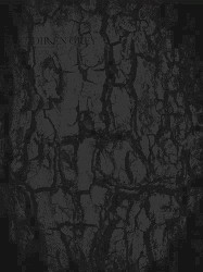 TOUR14 PSYCHONNECT -mode of “GAUZE”?-