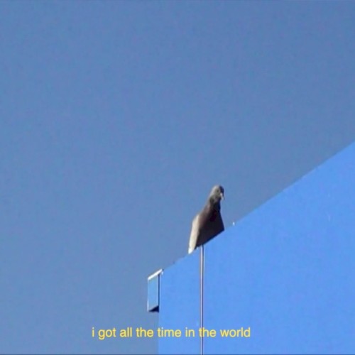 black33