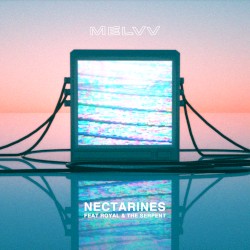 Nectarines