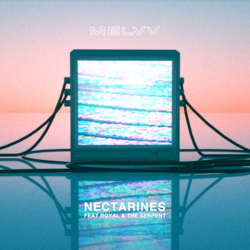 Nectarines