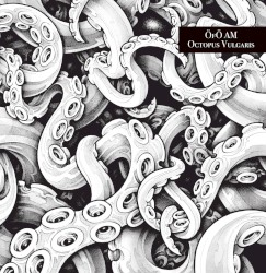 OCTOPUS VULGARIS