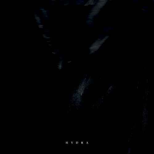 Hydra