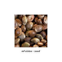 seed