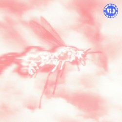 pure lo-fi 2