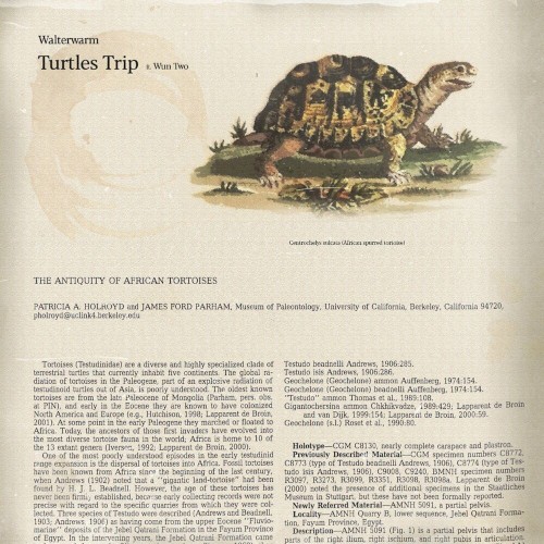 turtles trip