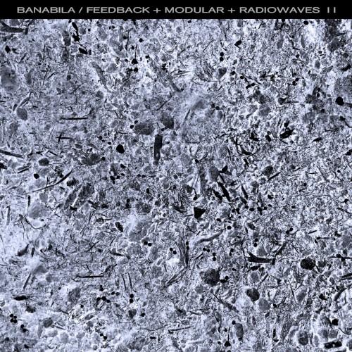 Feedback + Modular + Radiowaves II