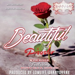 Beautiful Disaster