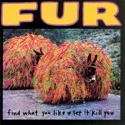 Find What You Like & Let It Kill You
