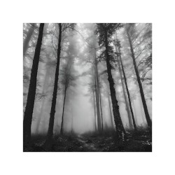 Endless Song VII