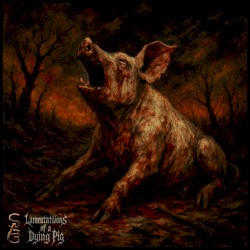 Lamentations of a Dying Pig