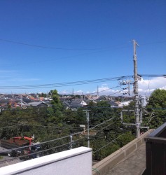 Walk Along the Nogawa