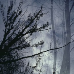 lost melody mantras, vol. 2
