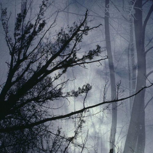 lost melody mantras, vol. 2