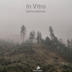 Deriva Adentro
