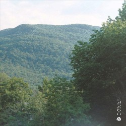 Verdant