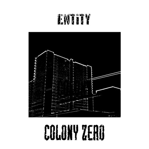Entity