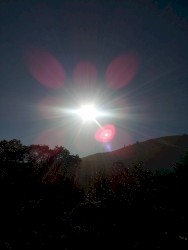 Sunny