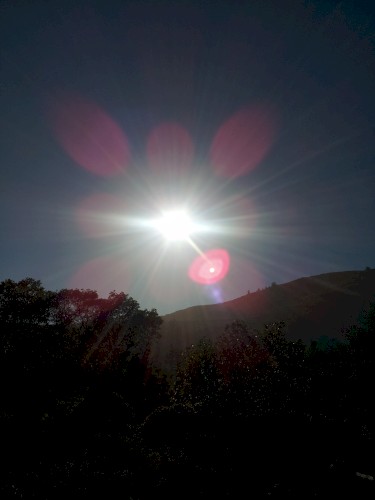 Sunny
