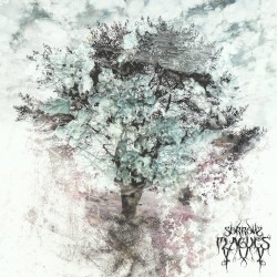 Sorrow Plagues