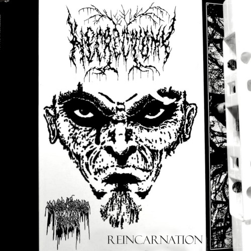 Reincarnation
