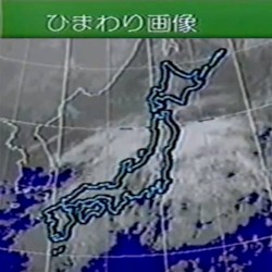 ひまわり画像