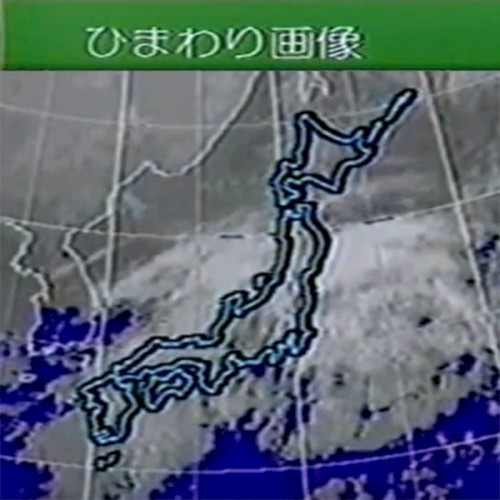 ひまわり画像