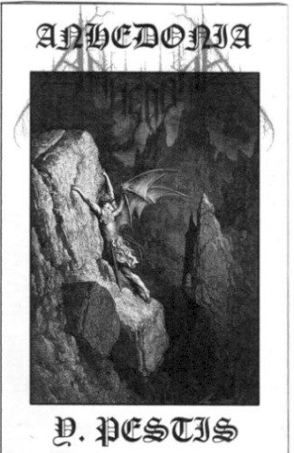 Y Pestis