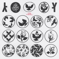 Rosebud / Black Dove