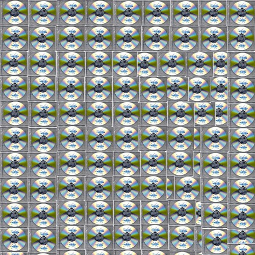 Mesmerized Ants
